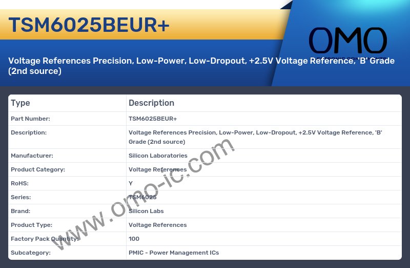 TSM6025BEUR+