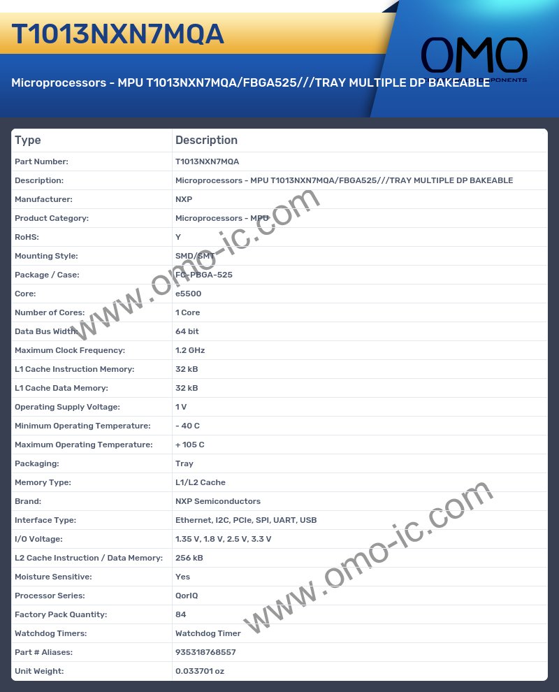 T1013NXN7MQA