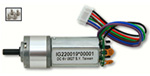 Rugged Motors