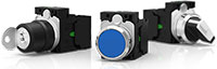 Series 45 Switches