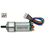 Rugged Motors