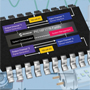 PIC16F176X / 7X Microcontrollers